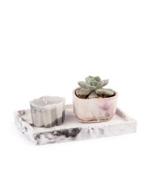 Plant ''Eco Garden'' succulent and candle №7