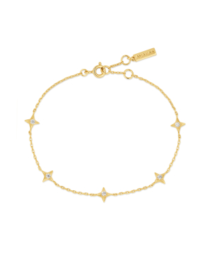Серебряный браслет «Ania Haie» B061-02G