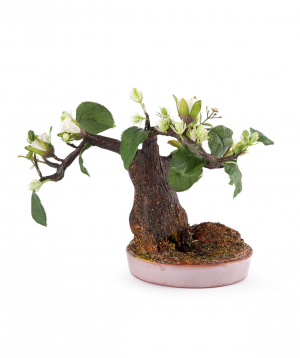 Bonsai `Eco Garden` handmade, artificial №1
