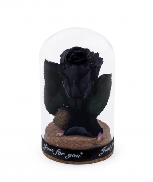 Роза `EM Flowers` мини вечная черная 10 см