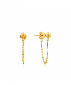 Earrings `Ania Haie` E002-06G