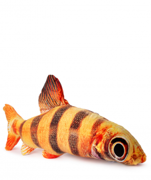 Pillow `Creative Gifts` fish