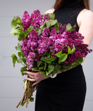 Bouquet ''Baghramyan'' with lilacs, 2 bunches