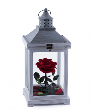Rose `EM Flowers` eternal 45 cm in a lampshade