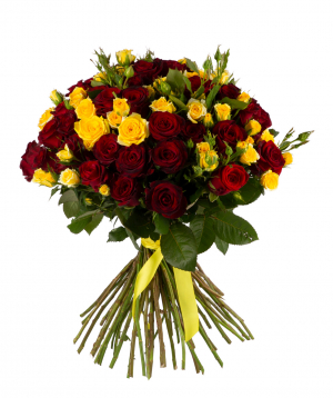 Roses «Gladiator» and yellow bush roses, 50 cm
