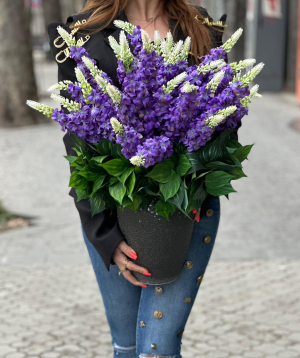 Искусственный букет «Cataleya» с маттиолами №68