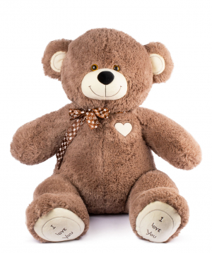 Bear Teddy `I love you` brown