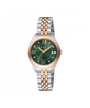 Wristwatch «Esprit» ES1L295M2065