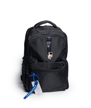 School backpack №58