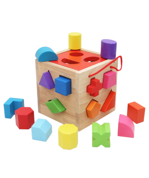 Wooden developing cube