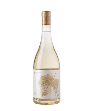 Գինի «Zara Wine» սպիտակ, չոր, 12%, 750 մլ