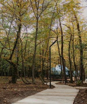 Rest in «Dream Park» hotel, Family Cottage with 2 bedrooms, for 4 people, 1 day