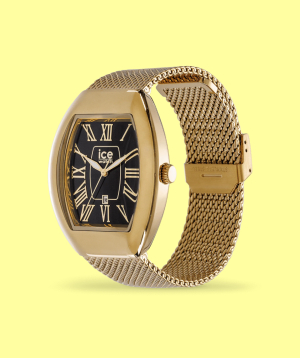 Watch «Ice-Watch» Ice Boliday Dome Black Gold / 024486