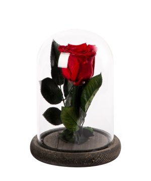 Роза `EM Flowers` вечная 17 см