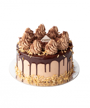 Cake `Shokoladka`