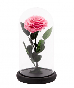 Роза `EM Flowers` вечная розоавая 27 см в колбе