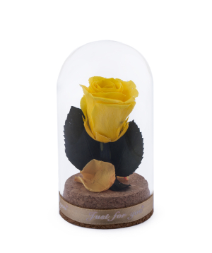 Роза `EM Flowers` мини вечная желтая 10 см