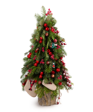 Christmas tree ''MariEll'' №1