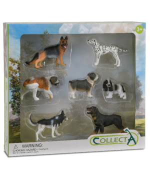 Շների հավաքածու ''Collecta''