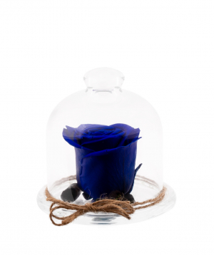 Rose `EM Flowers` eternal blue 10 cm in a flask