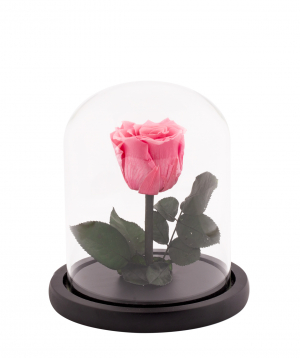 Rose `EM Flowers` eternal pink 17 cm in a flask