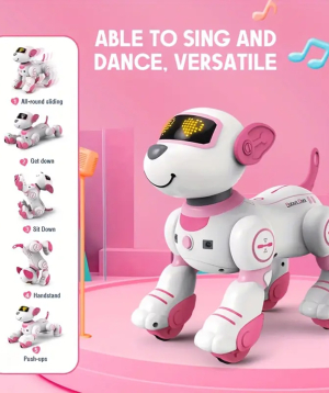Խաղալիք ռոբոտ «Gift Store» Best Friend №266