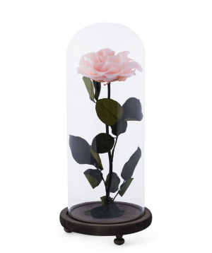 Rose `EM Flowers` eternal pink 33 cm
