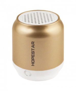 Bluetooth Speaker ''HOPESTAR'' H8