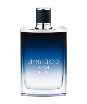 Парфюм «Jimmy Choo» Blue, мужской, 50 мл