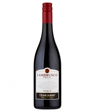 Wine ''Lambrusco'' red semi-sweet 750 ml