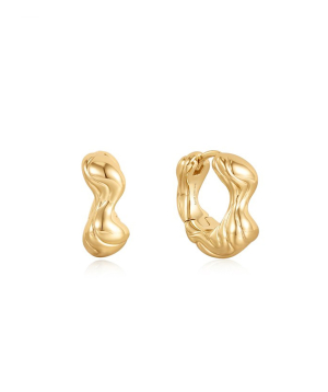 Silver earrings «Ania Haie» E050-04G