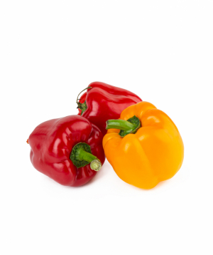 Bulgarian pepper kg