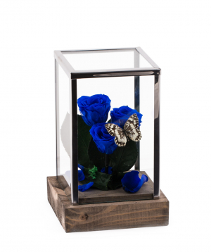 Roses `EM Flowers` eternal blue 18 cm