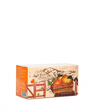 Dried apricots `Aregi`