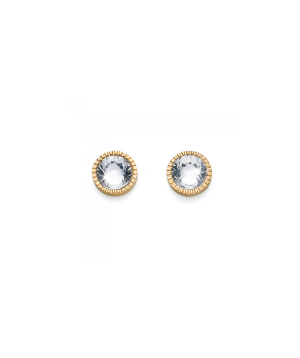 Earrings «Oliver Weber» 22786G