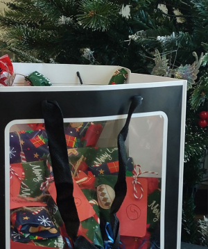 Advent Calendar «Blue Moon» Z