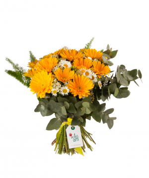 Bouquet `Afak` with gerberas and chamomiles