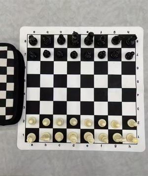 Chess «Gift Store» for travel №1122