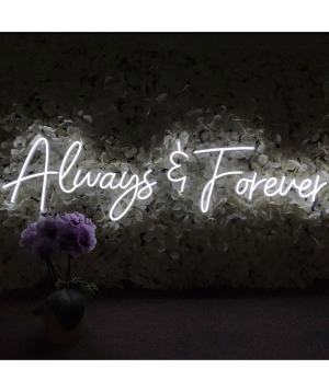 Նեոնային լույս «ANeon» Always & Forever, 60 x 19 սմ
