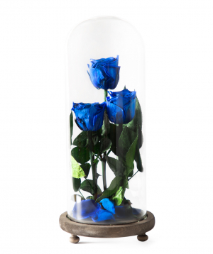Roses `EM Flowers` eternal blue 33 cm