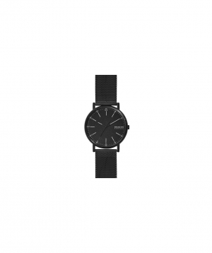 Wristwatch `Skagen` SKW6579