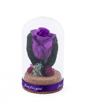 Роза `EM Flowers` мини вечная фиолетовая 10 см