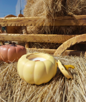 Մոմ «Blue Moon» Դդում