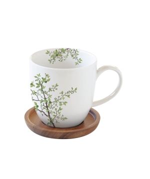 Cup ''Natura'' with a lid-coaster