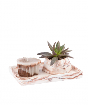 Plant ''Eco Garden'' succulent and candle №9