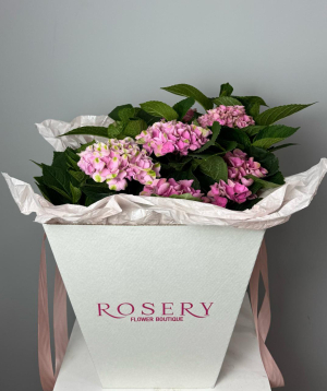 Цветочная композиция «Andainette» с гортензиями