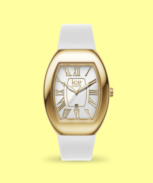 Watch «Ice-Watch» Ice Boliday Dome White Gold / 024049
