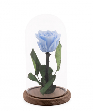 Rose `EM Flowers` eternal blue  21 cm in a flask