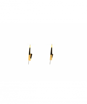 Earring `SKAGEN` JF03169040