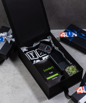 Gift box «THE BOX» for the programmer №662